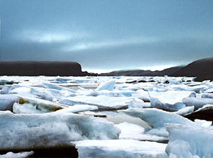 Baffin Coast Icepack