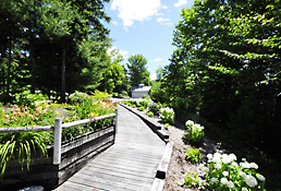 Real estate photography - Garden Walkway