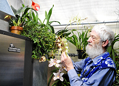 Greenhouse Botanist