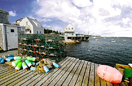 Maine Island Waterfront