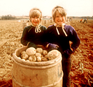 Maine Potato Girls