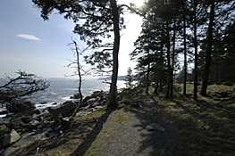Path North of Otter Point