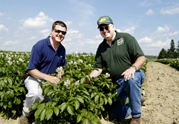 Potato Growers