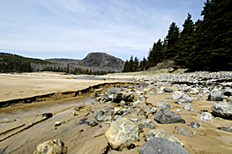 Sand Beach Estuary