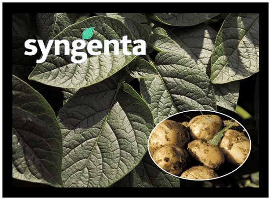 Syngenta